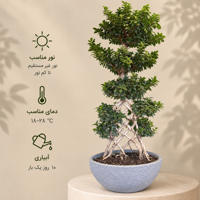 بنساي بودا