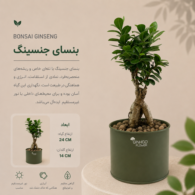 بنسای جنسینگ